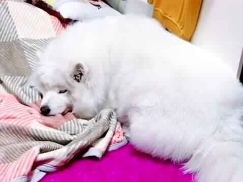 搞定家中那些恼人小麻烦，这几招让生活瞬间清爽