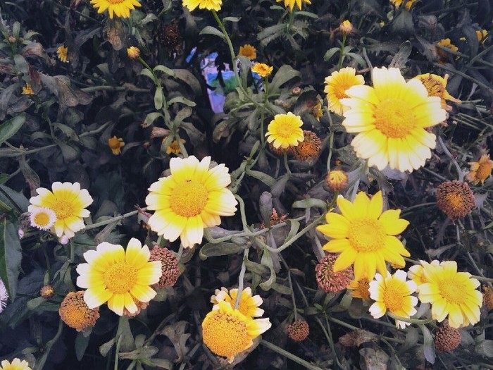 花色整理妙招：让杂乱变美观的色彩收纳术