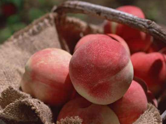 桃子颜色大揭秘：不止是粉红，选对颜色才香甜