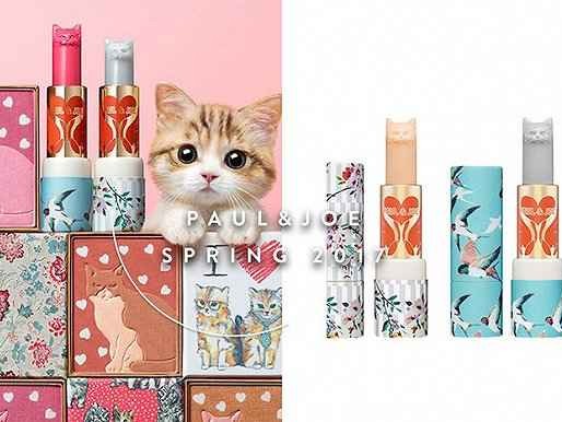 揭秘猫头品牌家族，不同领域的猫头各有所长