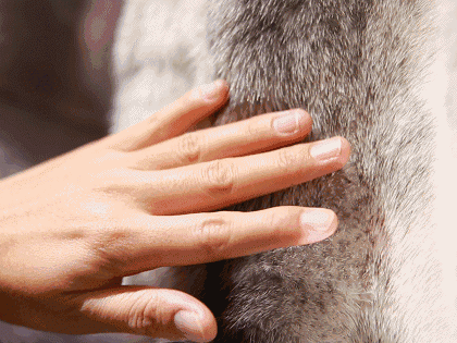 男士皮草穿搭秘籍：告别土气，轻松穿出高级感