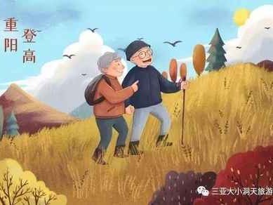 重阳节登高赏菊全攻略：北京花海盛宴与秋游穿搭指南