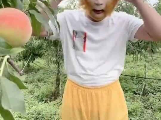 变装含义全解析看懂不再迷茫